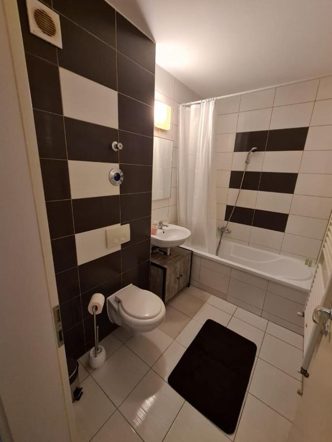Garsoniera Zebra Apartment Brasov Exterior photo